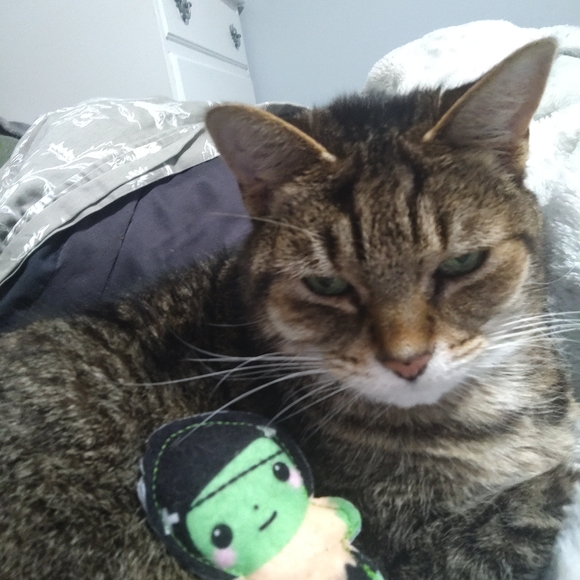 Meet your Posher, Rachel - Picture 3 of 4